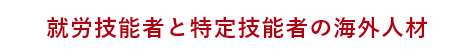 就労技能者と特定技能者の海外人材