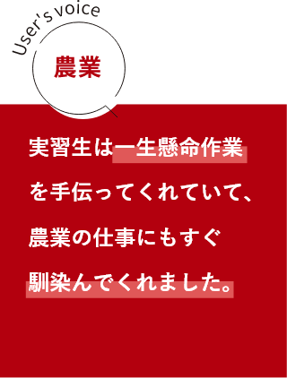 農業 実習生は一生懸命作業を手伝ってくれていて、農業の仕事にもすぐ馴染んでくれました。