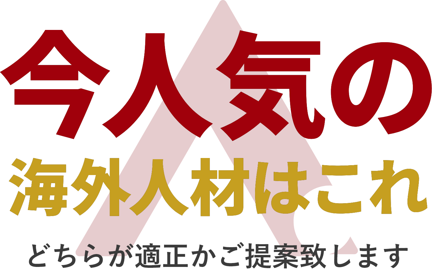 今人気の海外人材はこれ どちらが適正化ご提案致します